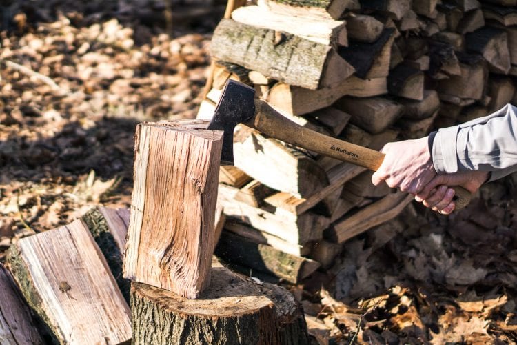 Bij een cursus houthakken komt meer kijken dan je denkt The Hike