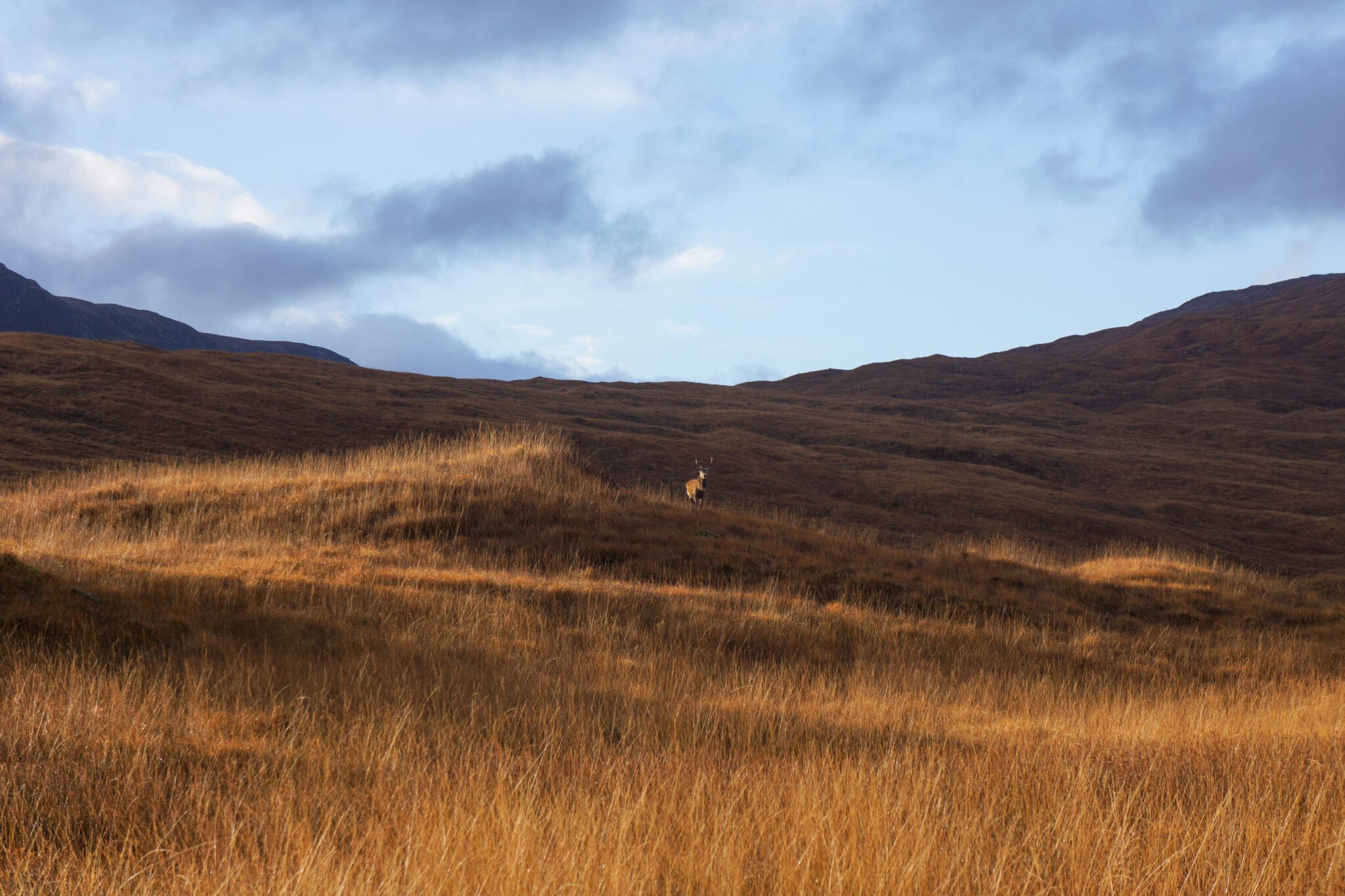 Rannoch Moor En Regen West Highland Way The Hike