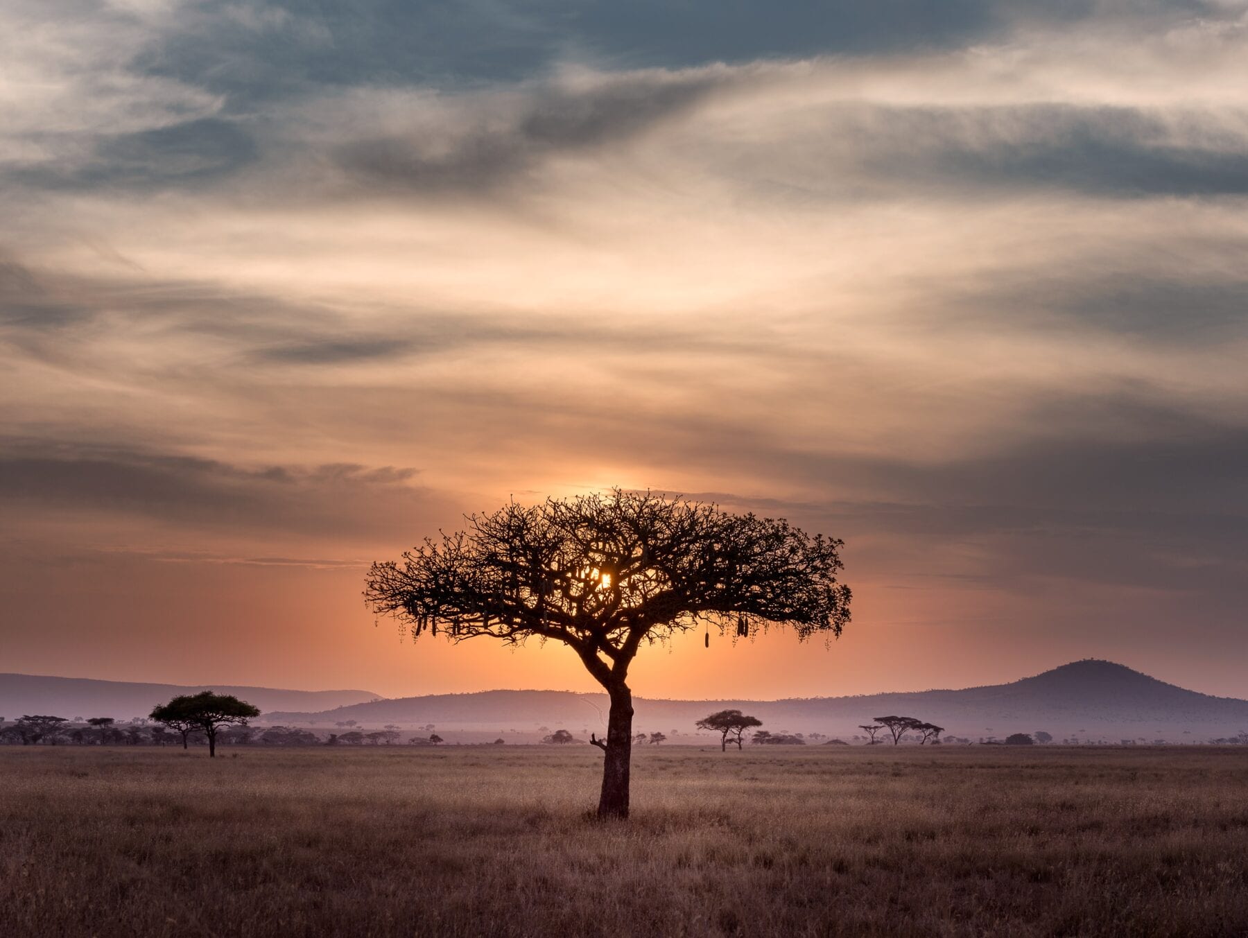 Zuid-Afrika Landschap zonsondergang