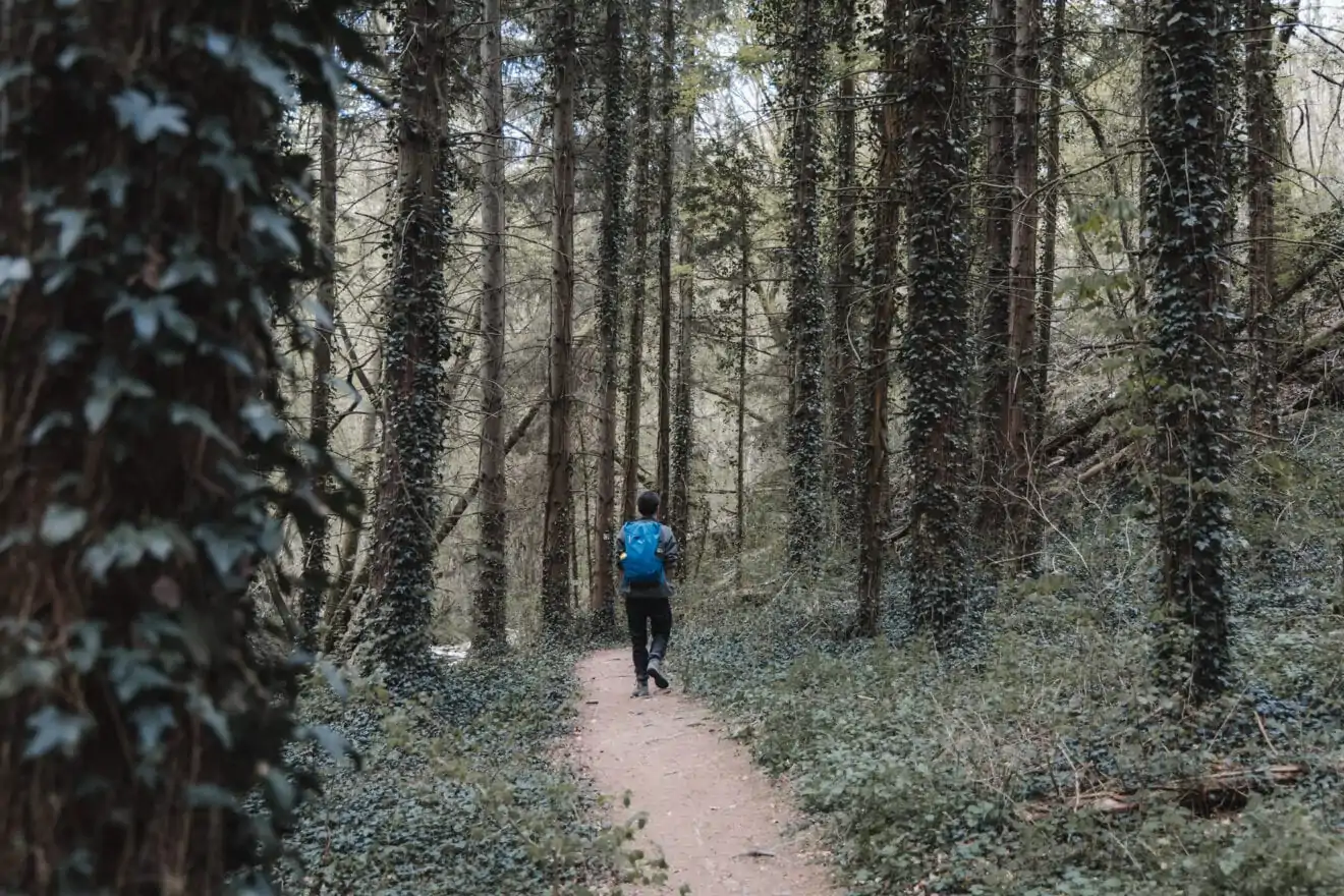 Wandelen in de Ardennen header