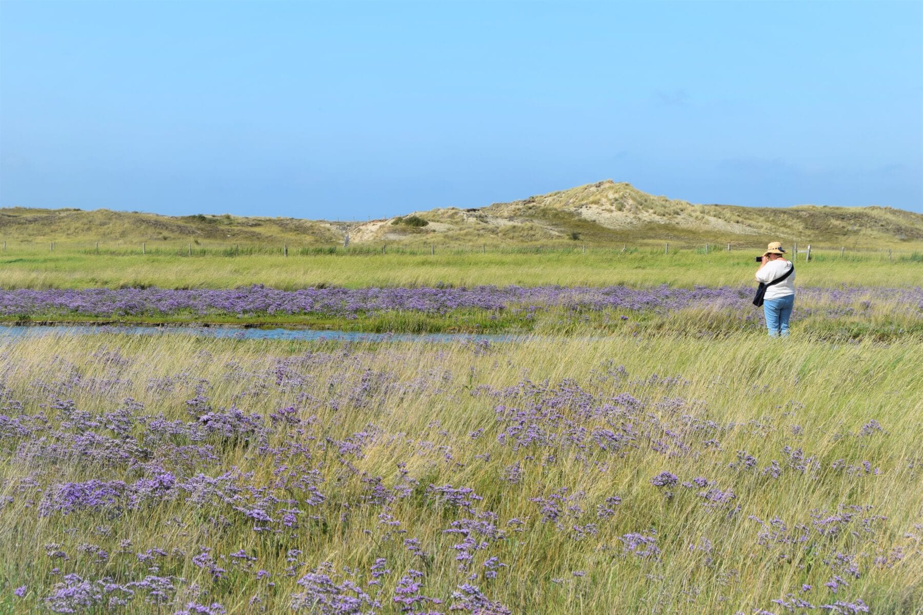 Natuurpark het Zwin