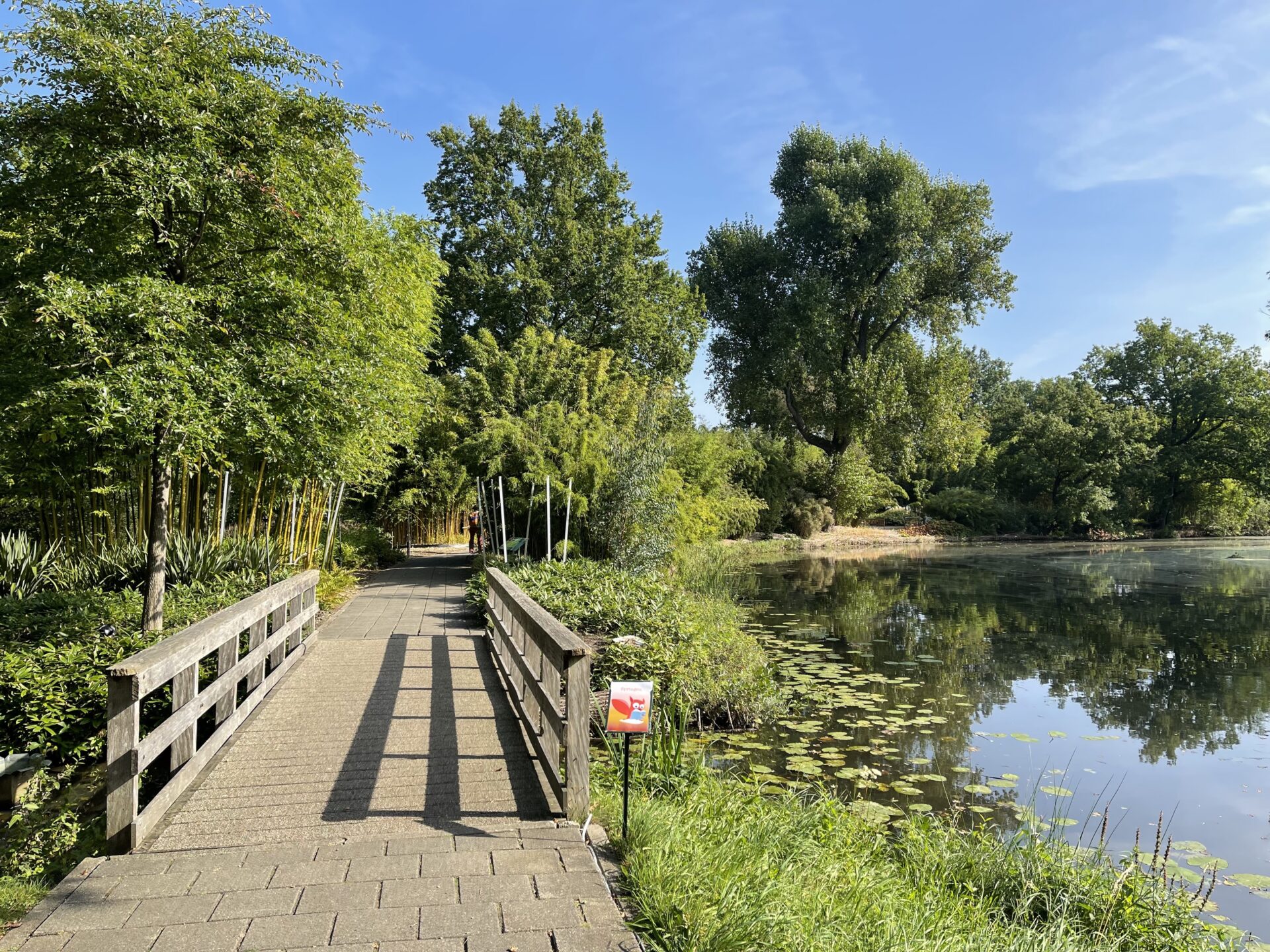 Botanische Tuin Utrecht, Zeker Een Bezoekje Waard - The Hike