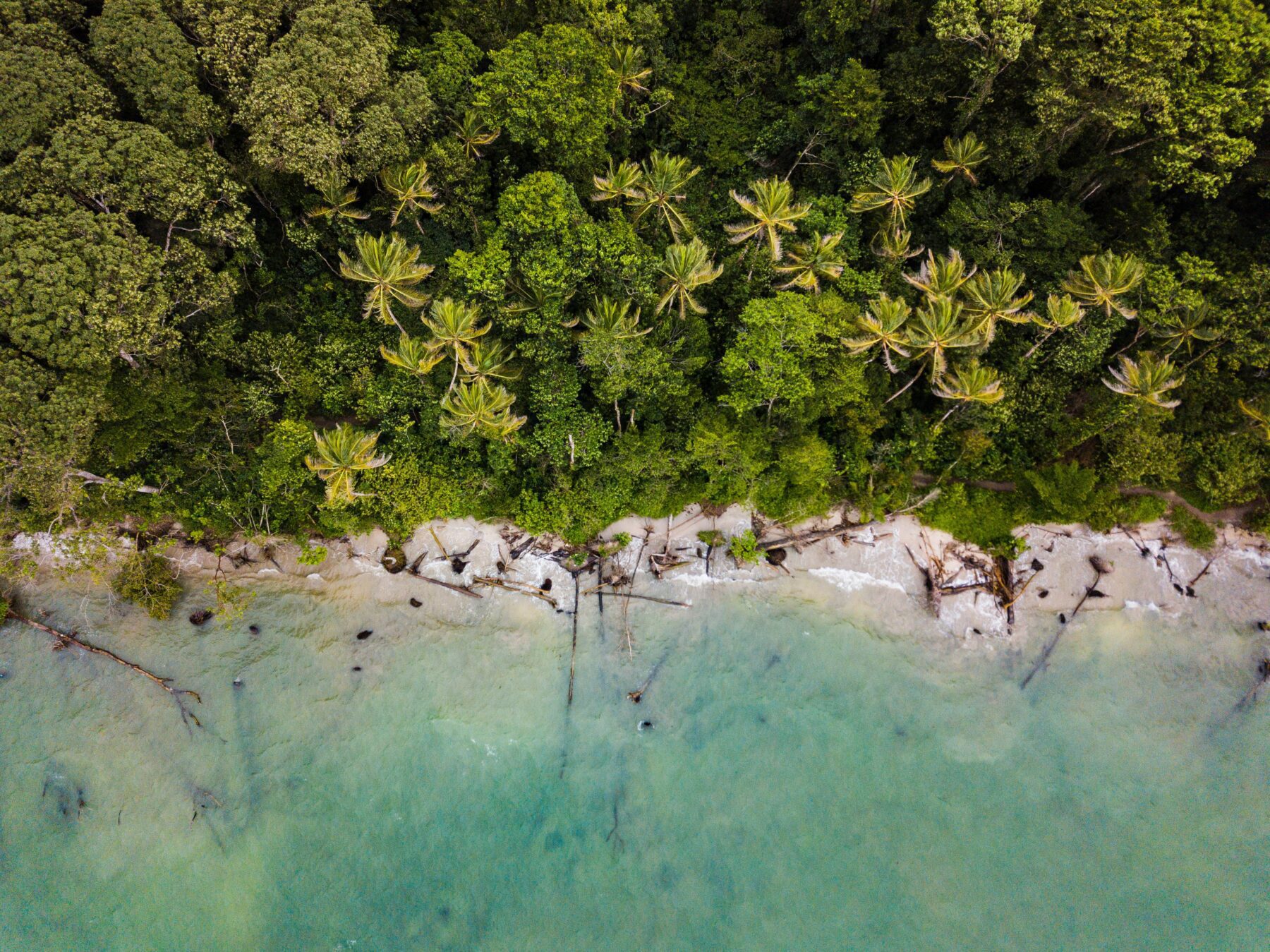 Ongerept Costa Rica ontdekken