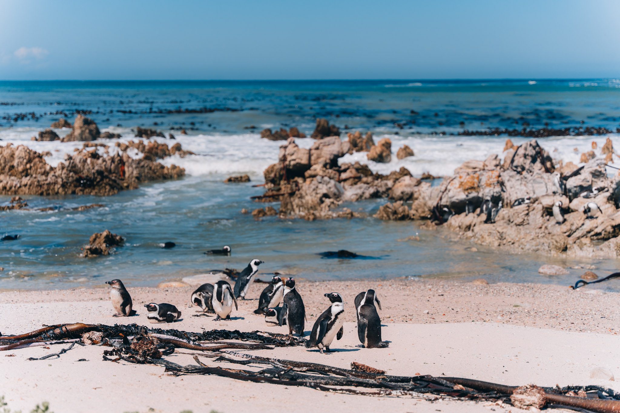 Zo Maak Je Een Epische Rondreis Door Zuid Afrika The Hike