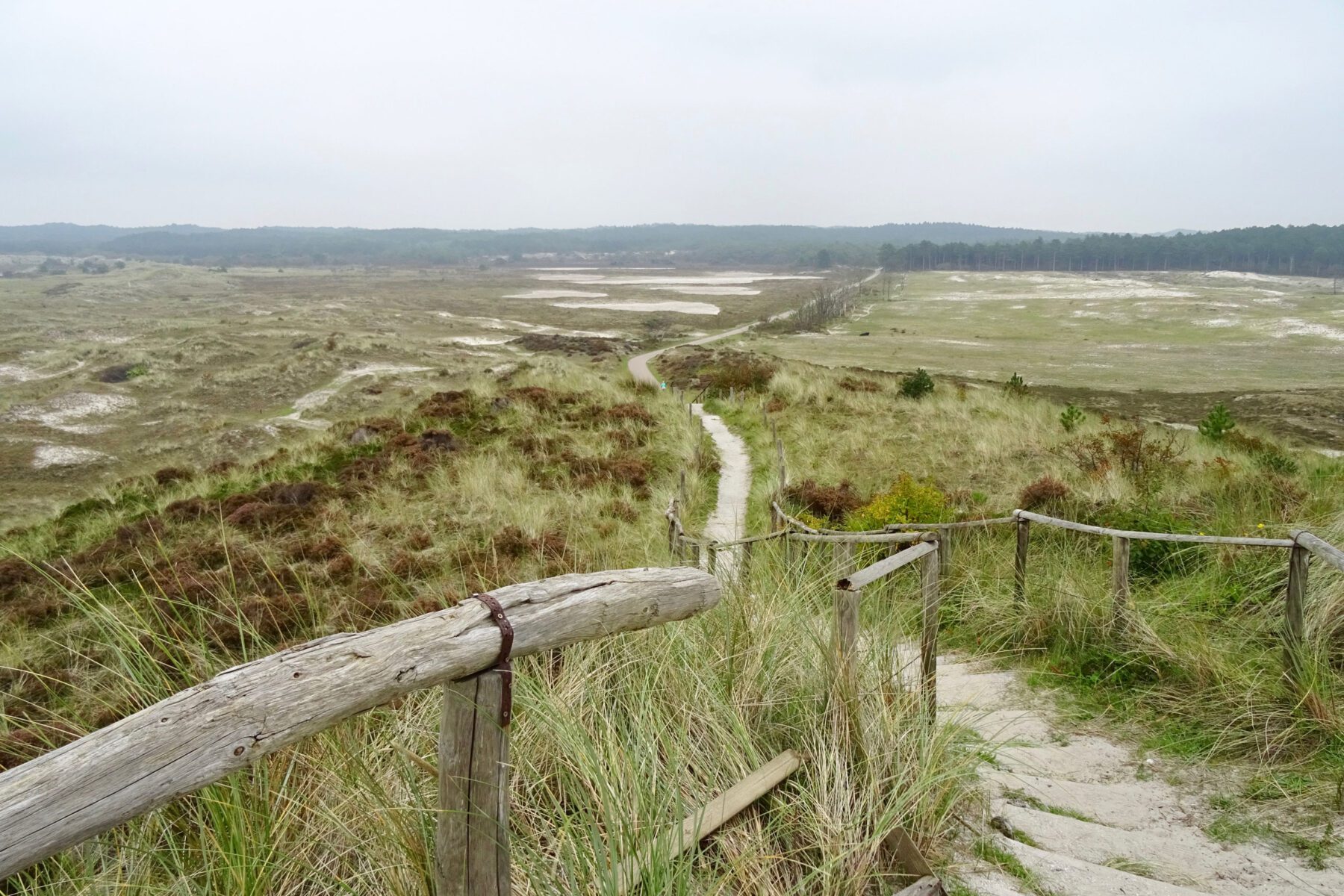 Schoorlse Duinen Wandelen in de Kop van Noord-Holland