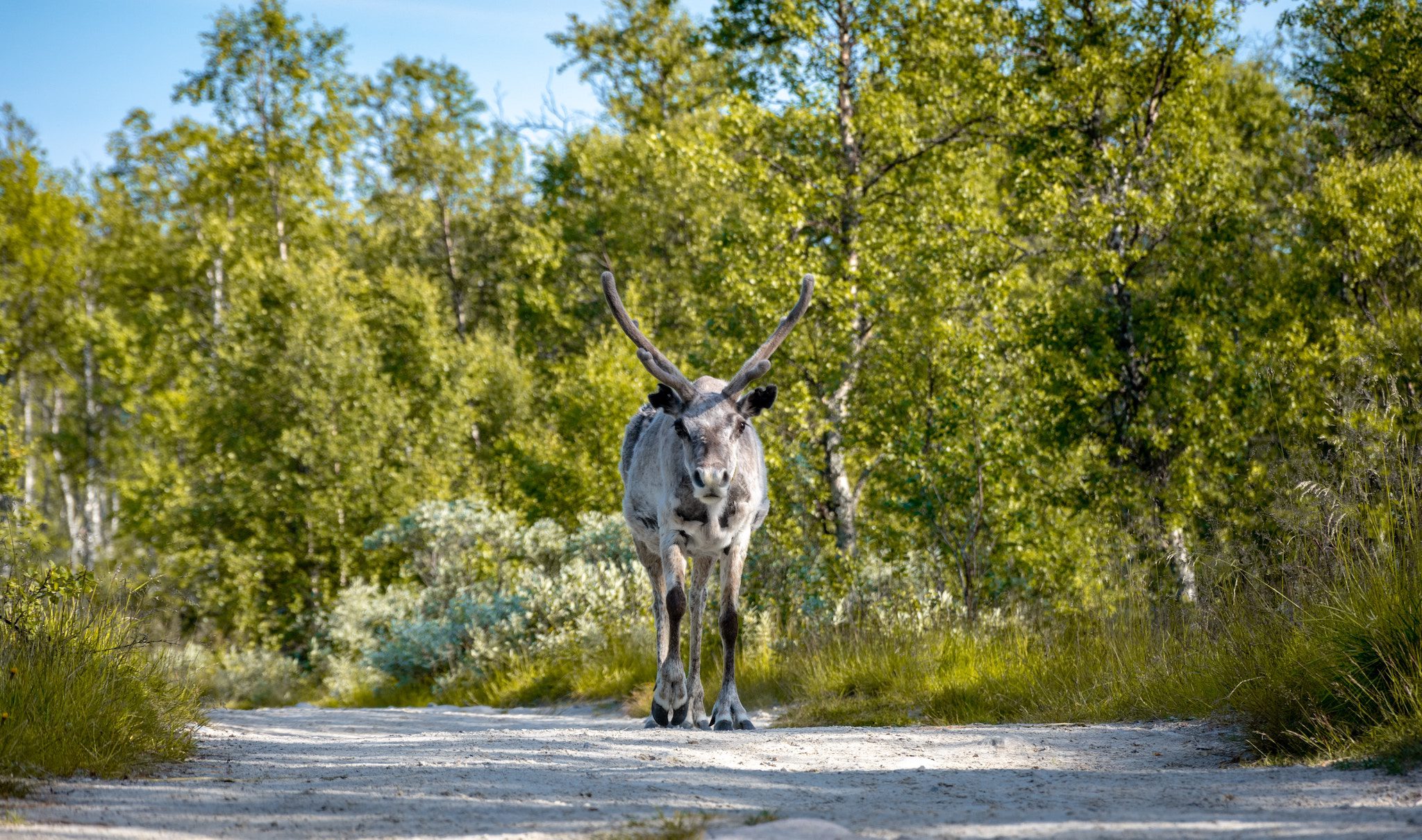 Visliefhebbers Opgelet: Op Deze Wandeltrails In Noorwegen Kan Jij Op ...