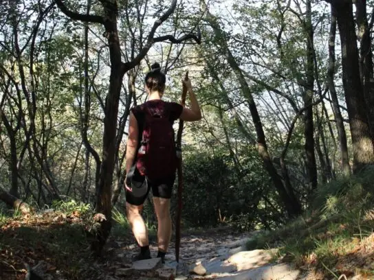 Wandelen door de bergen met een stok