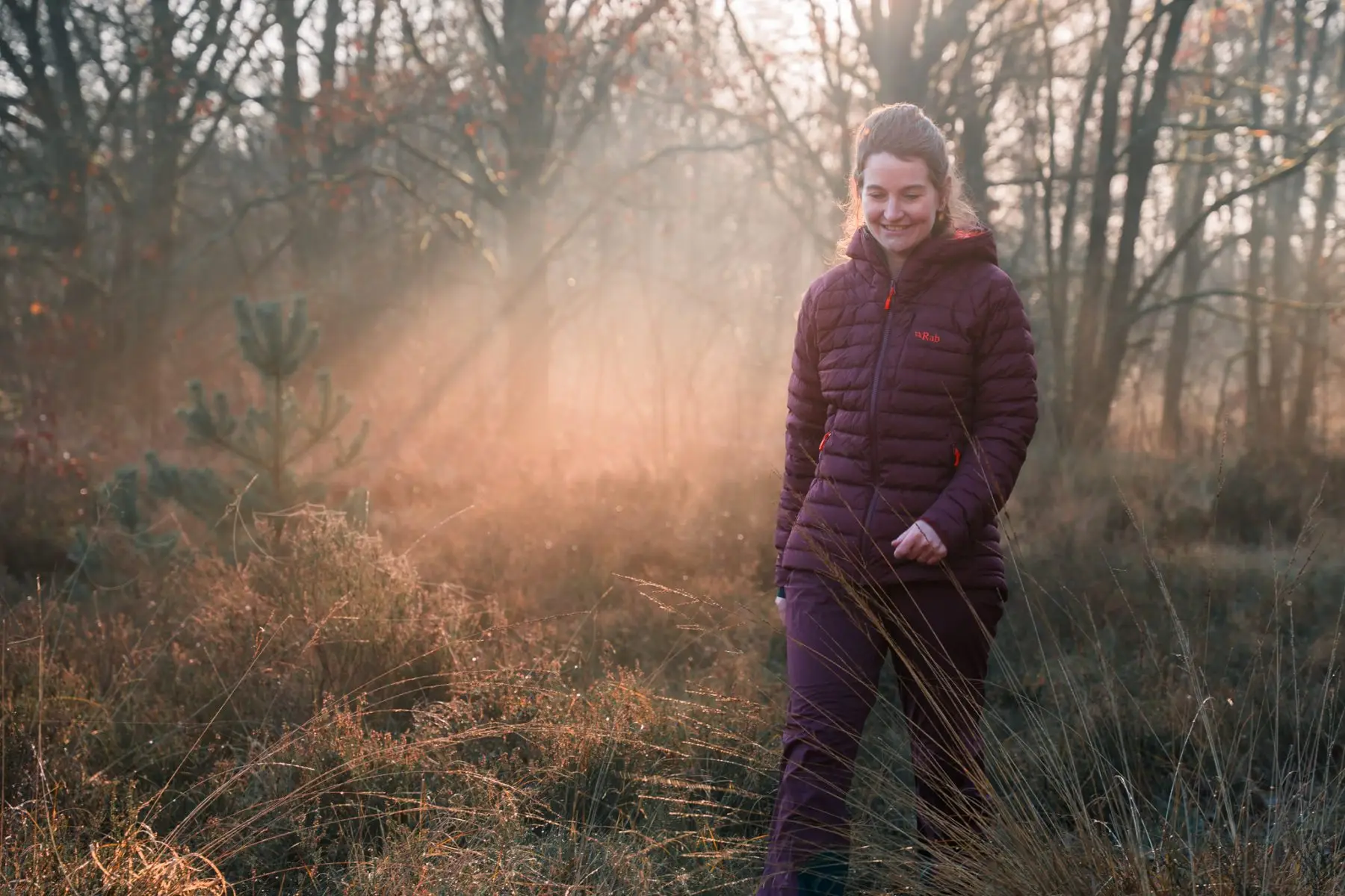 Rab op de Vughtse Heide