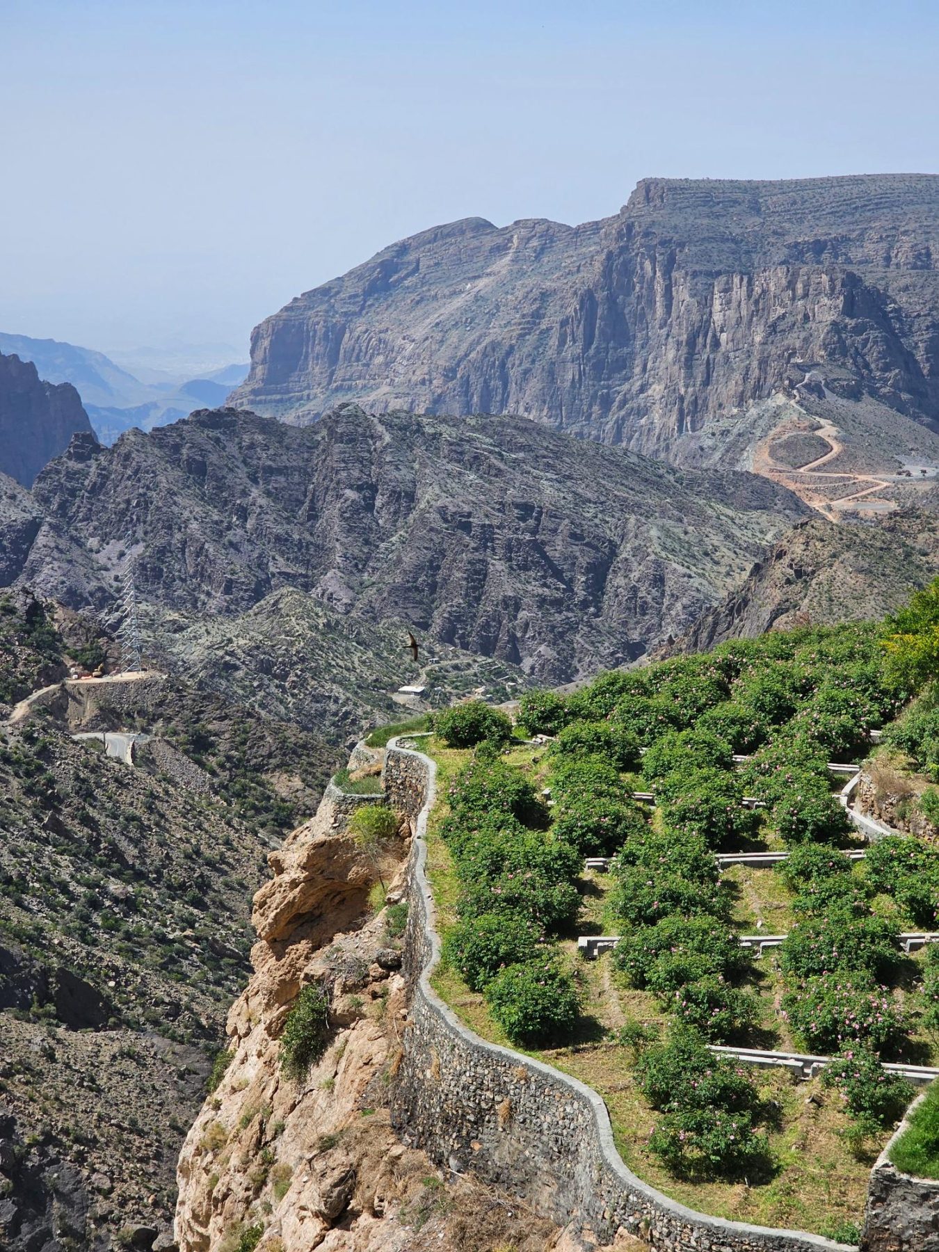 Een uitzicht tijdens een hike in Oman.
