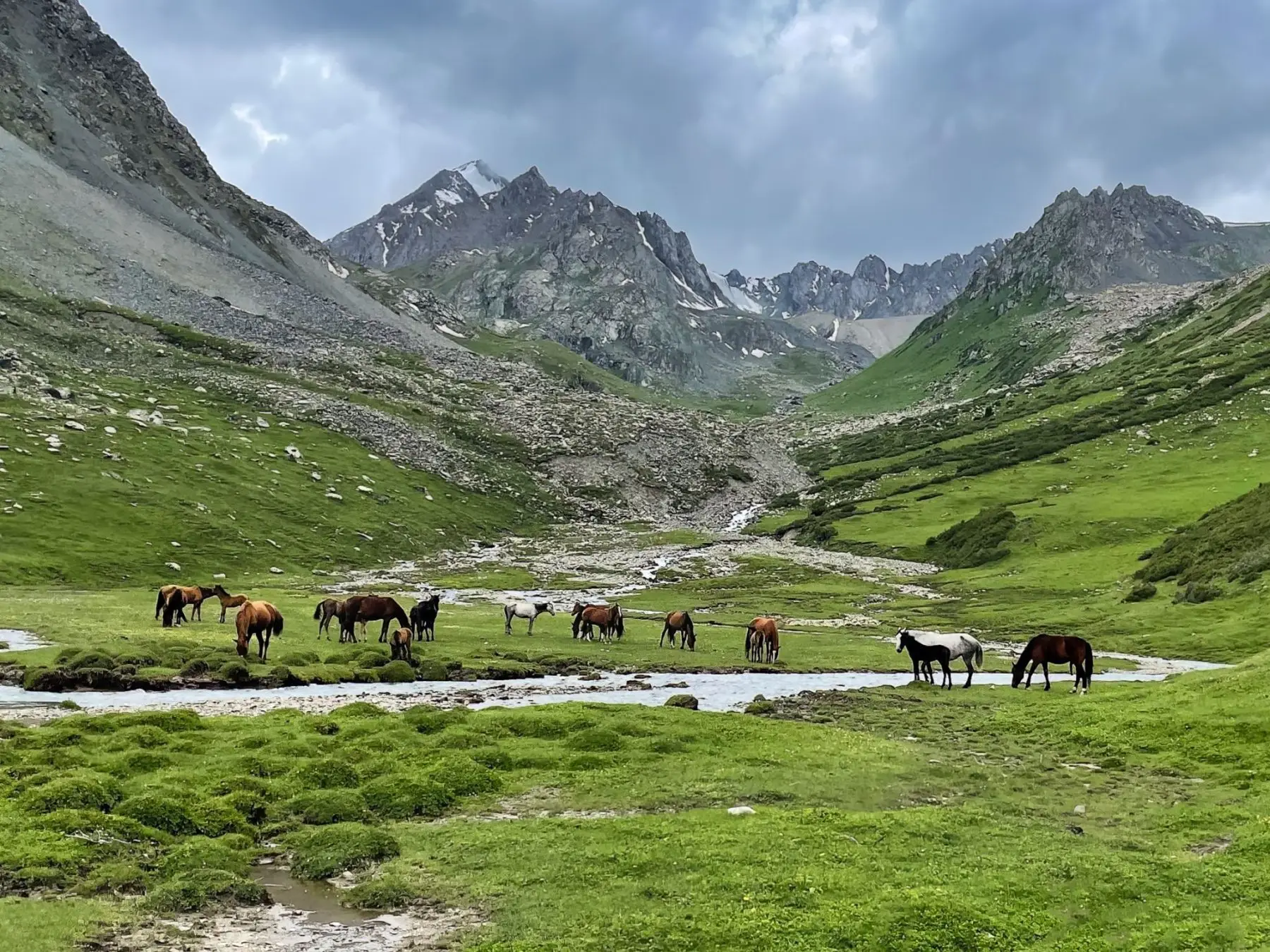 Hiken in Kirgizië langs groepen wilde paarden