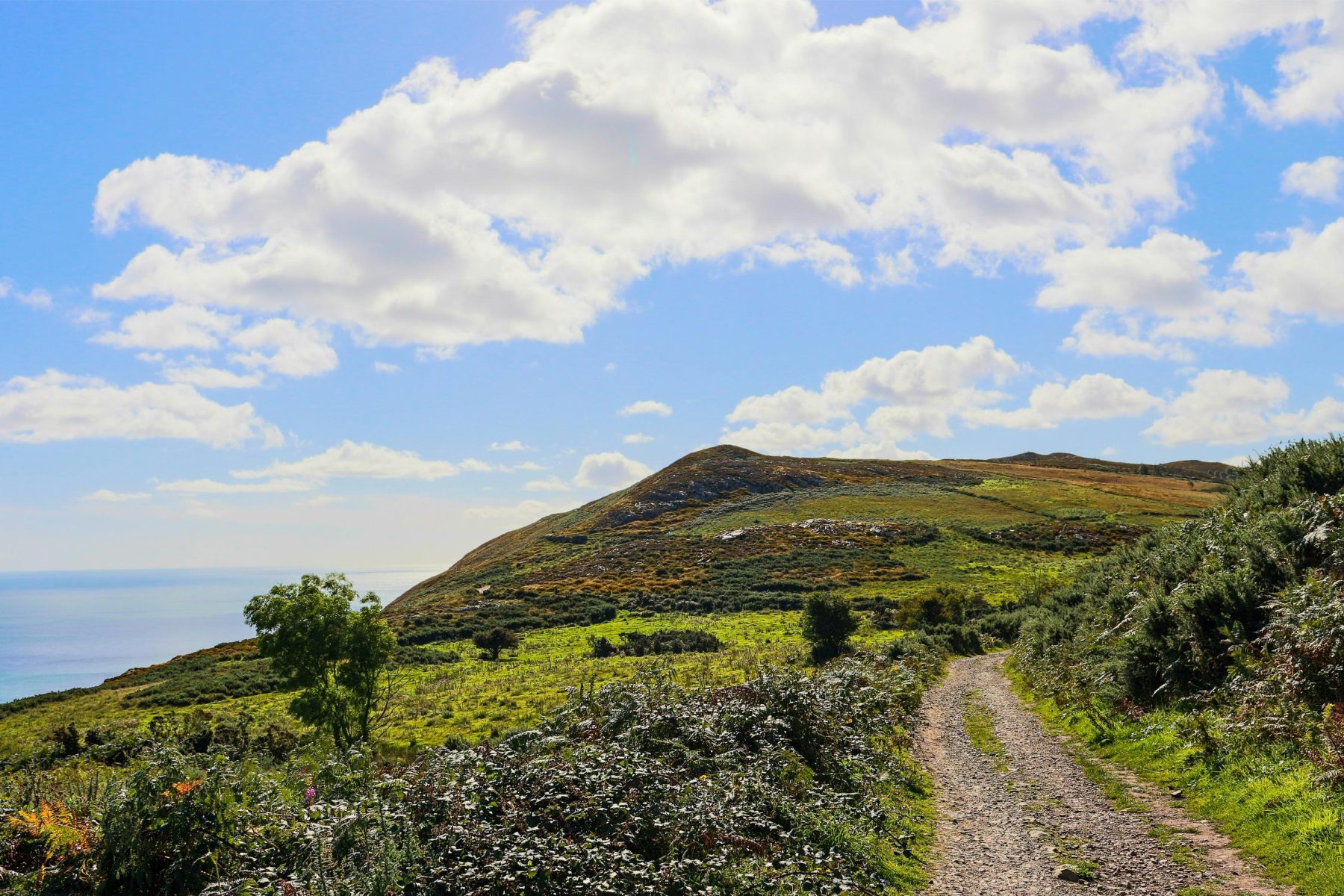 Een uitzicht in County Wicklow.