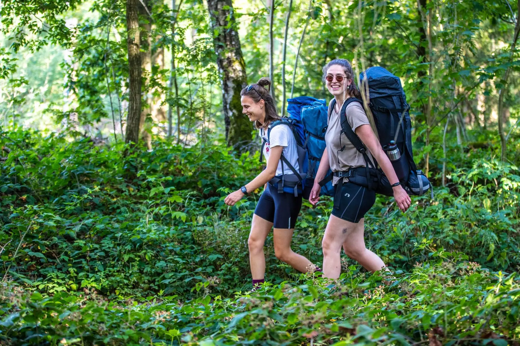 De leukste meerdaagse wandelroutes uit de wandelgids van Zuid-Limburg