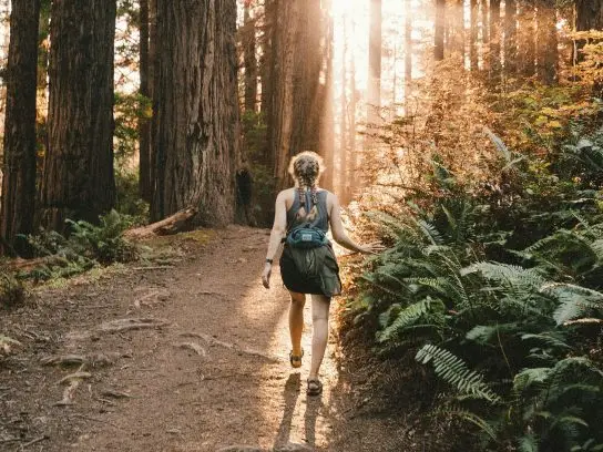 Een persoon wandelend in het bos.