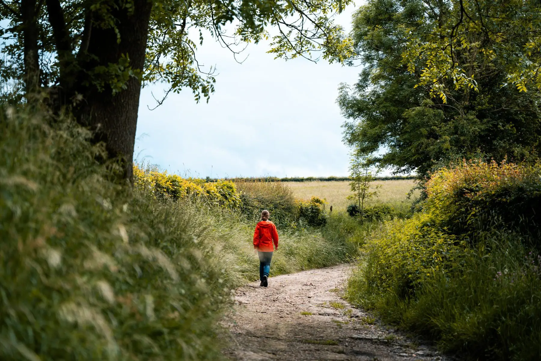 Wijngaarden wandeling Noorbeek, Zuid-Limburg