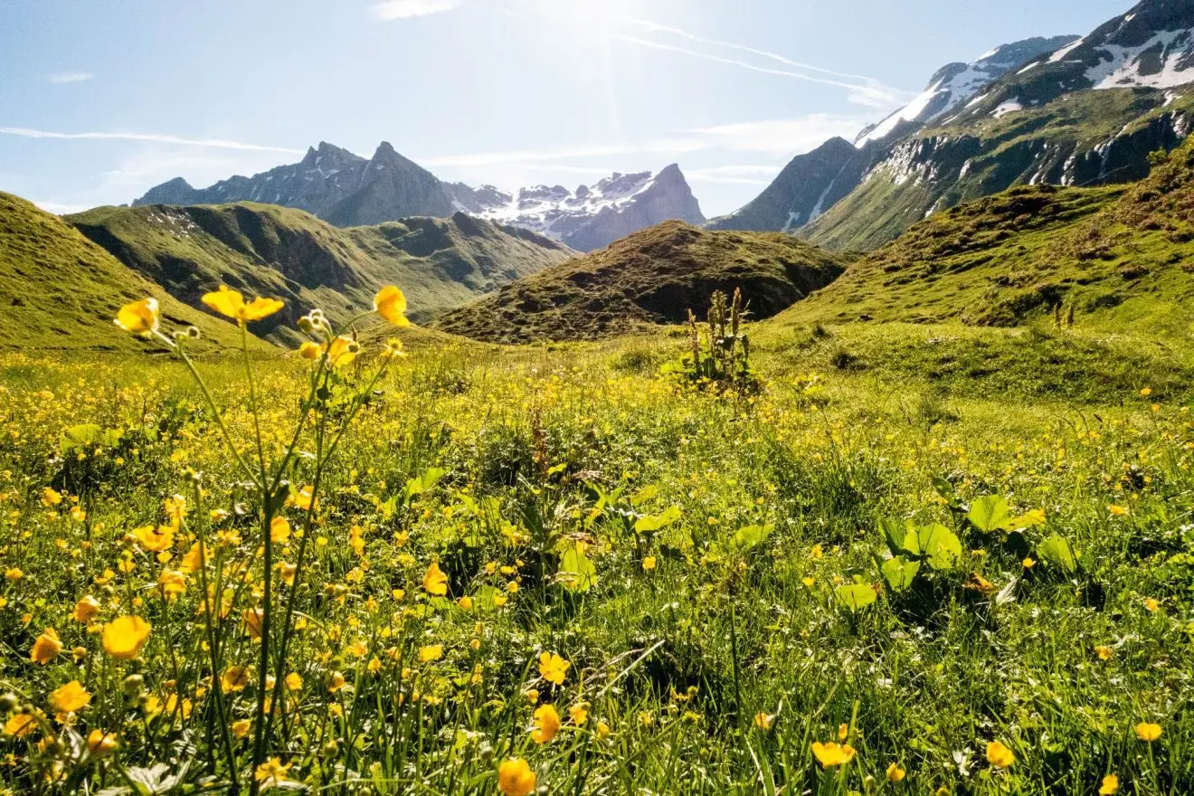 Franse Alpen, La Plagne Nicole Sauve Greenspin, The Outdoors 2024