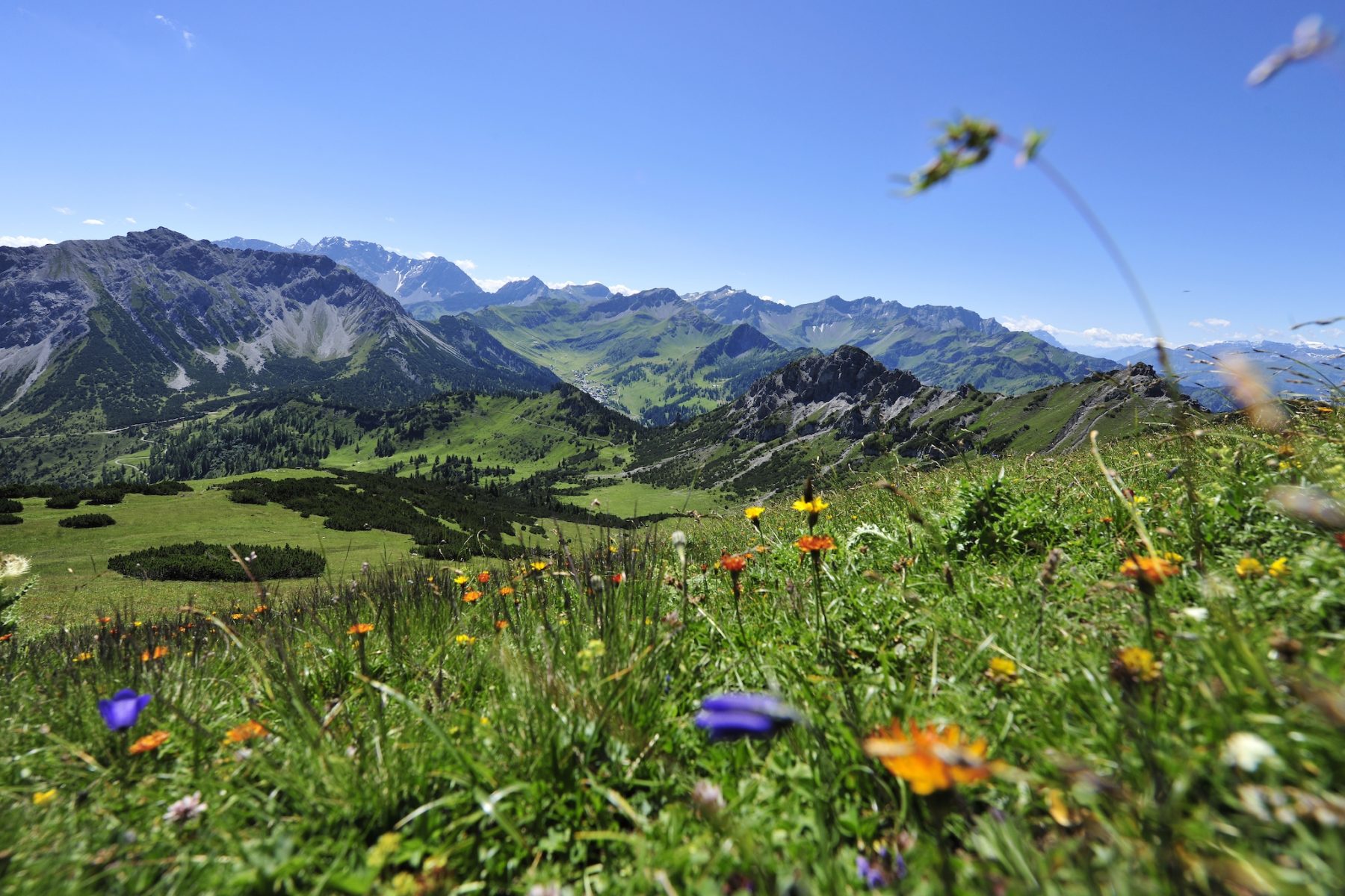 Schönberg, Liechtenstein