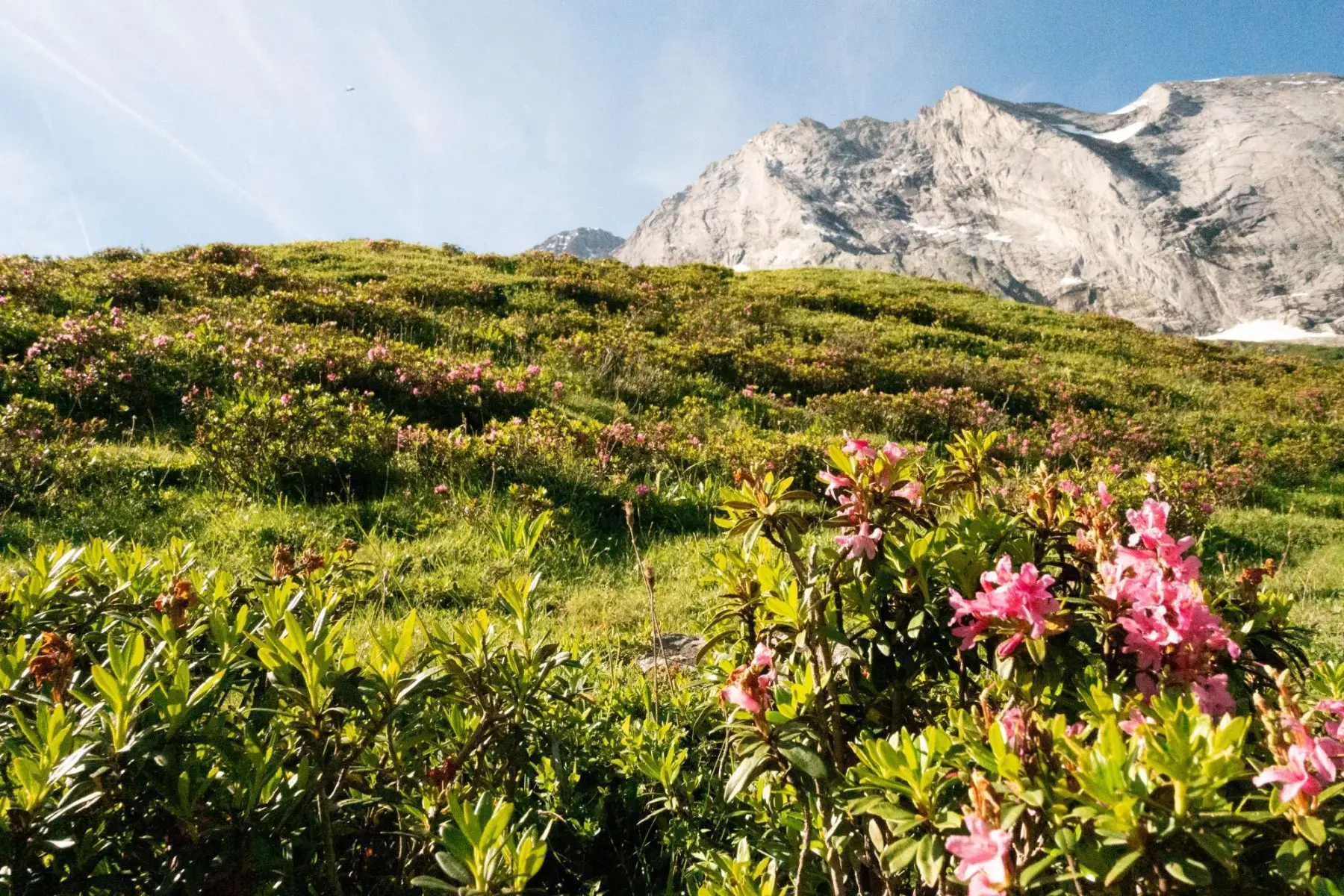 Franse Alpen, La Plagne Nicole Sauve Greenspin, The Outdoors 2024