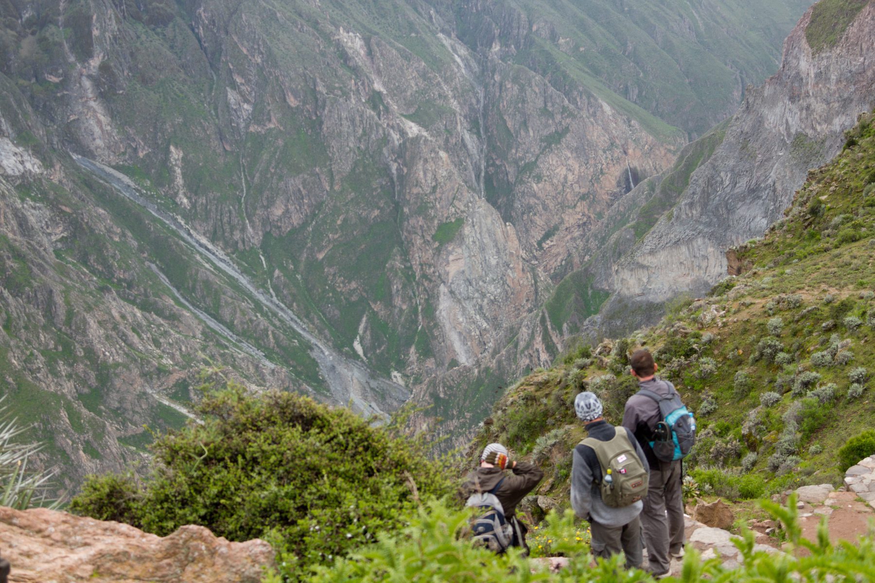 In Colca Canyon vind je een van de beste hikes in Peru