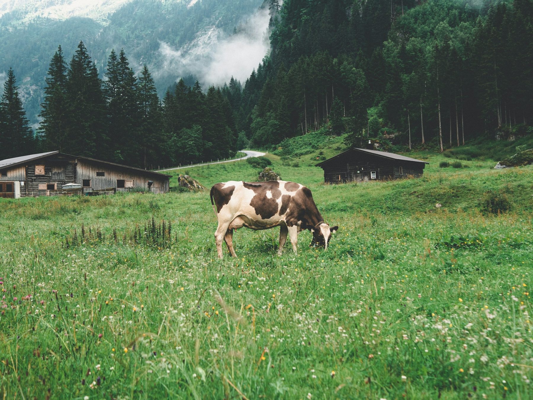 Berliner Höhenweg dwars door het Zillertal