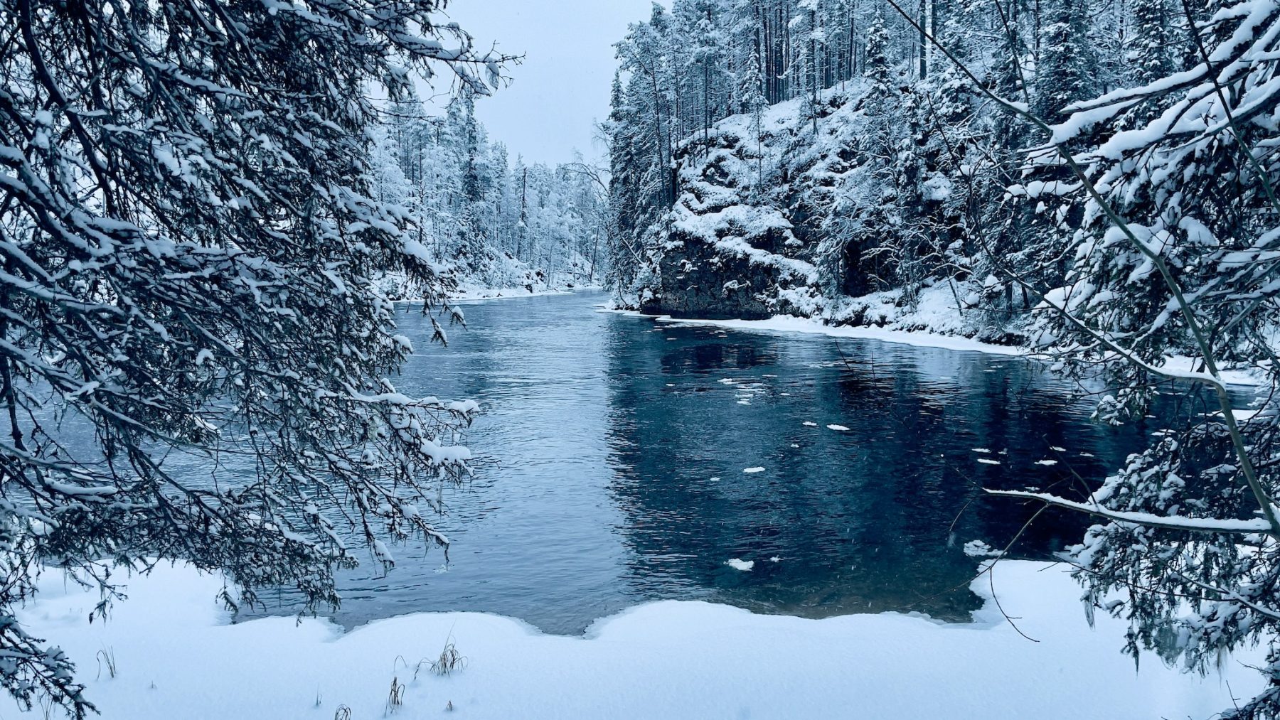 Sneeuwschoenwandelen in Oulanka