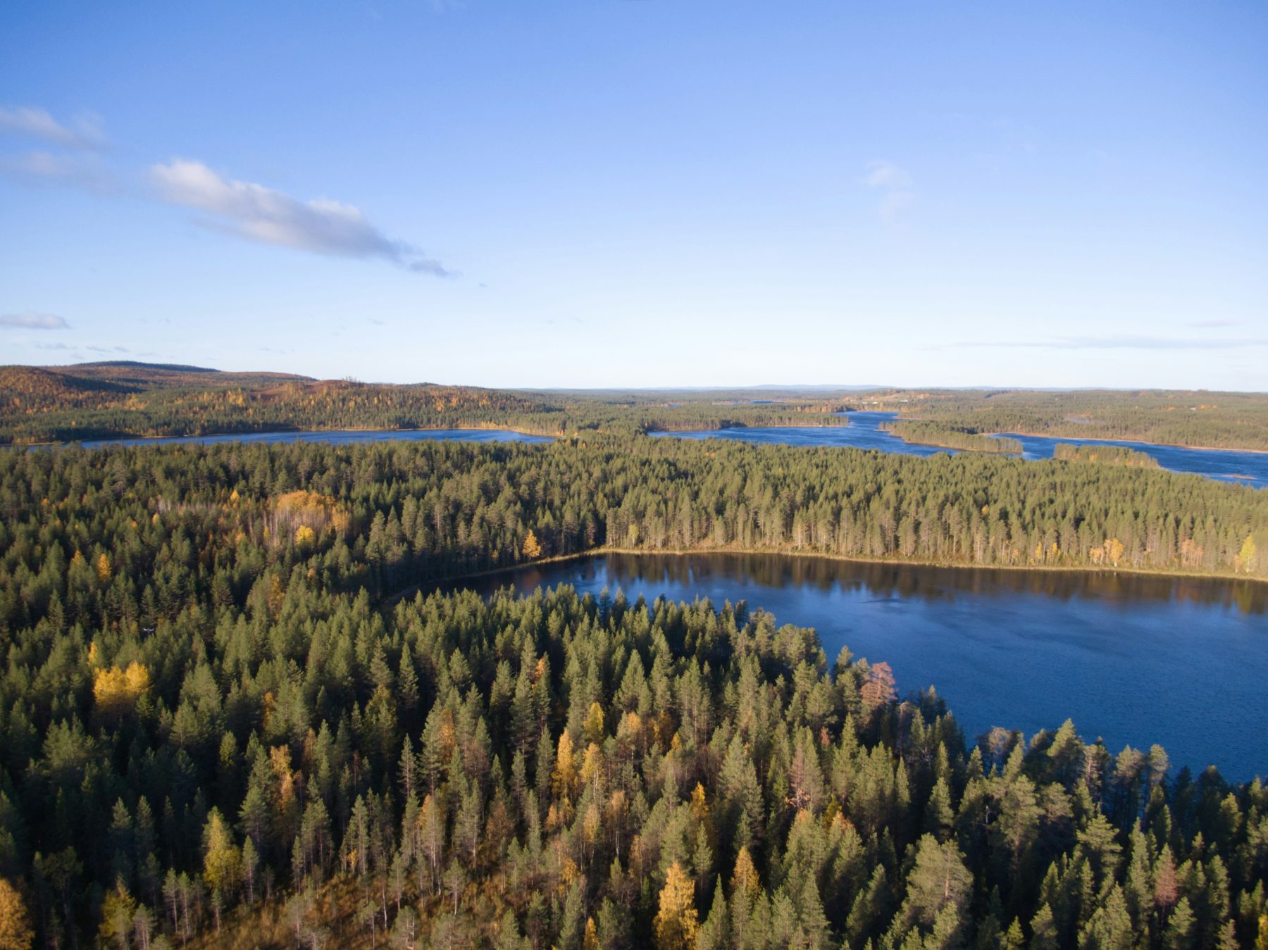 Wandelen in Oulanka National Park in Finland