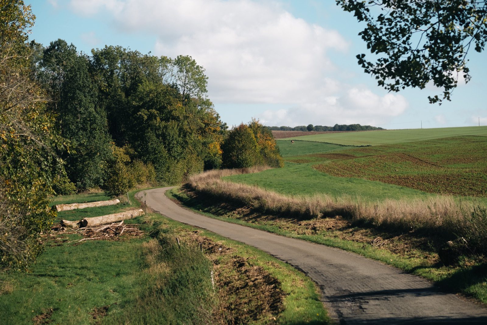 De Abdijenroute door België