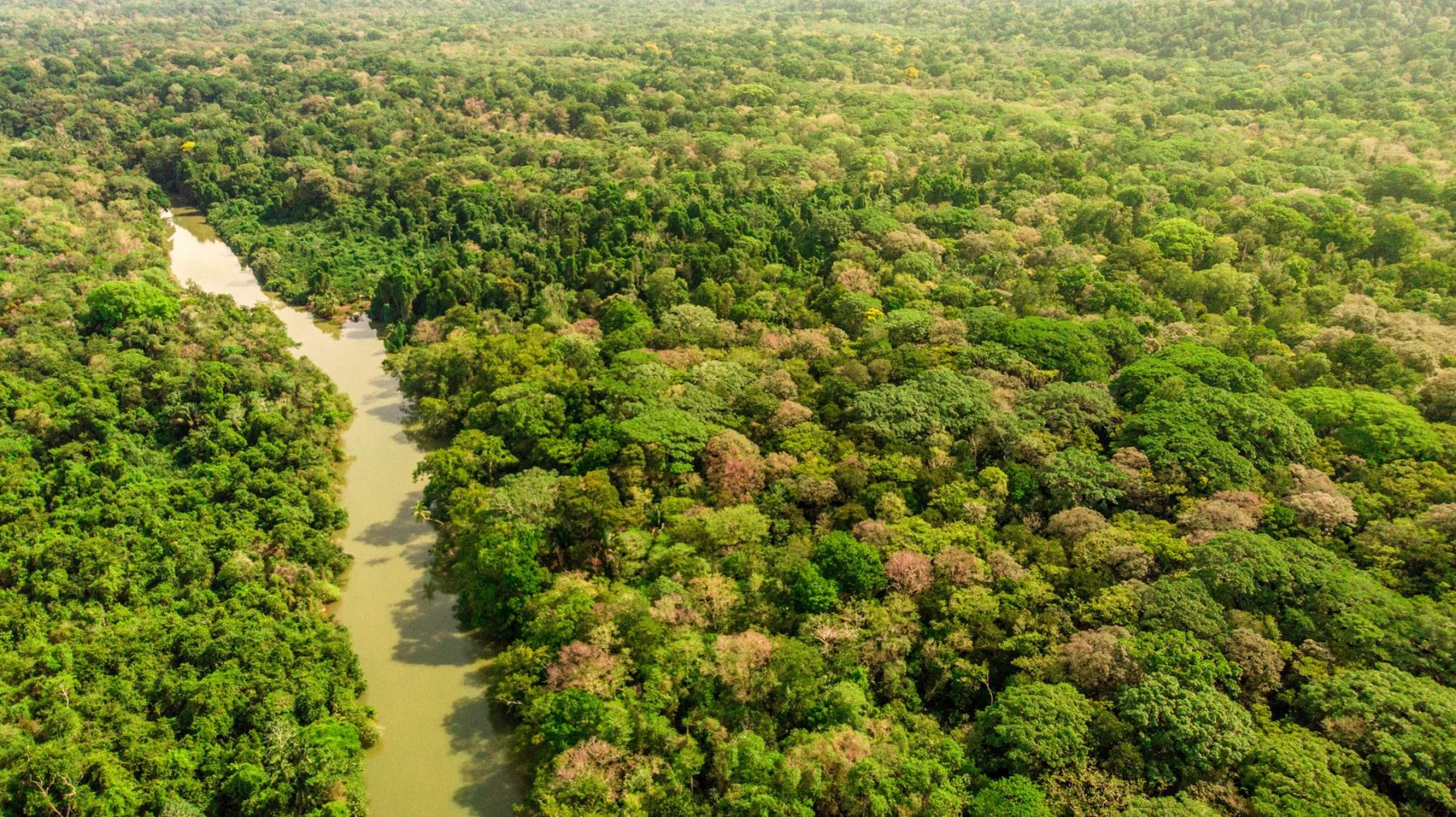 Wandelen in Costa Rica, door prachtige natuurgebieden