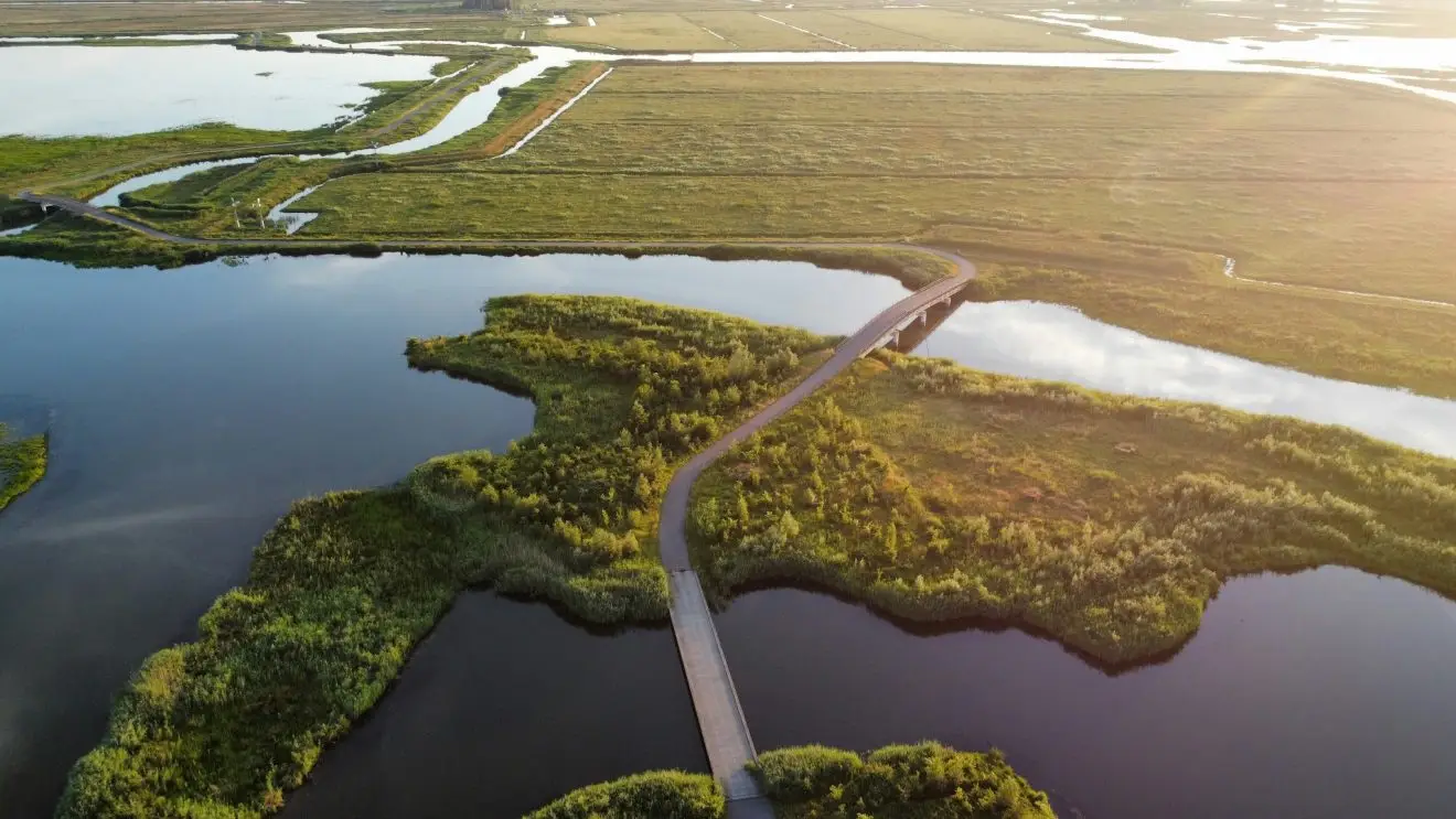 Biesbosch