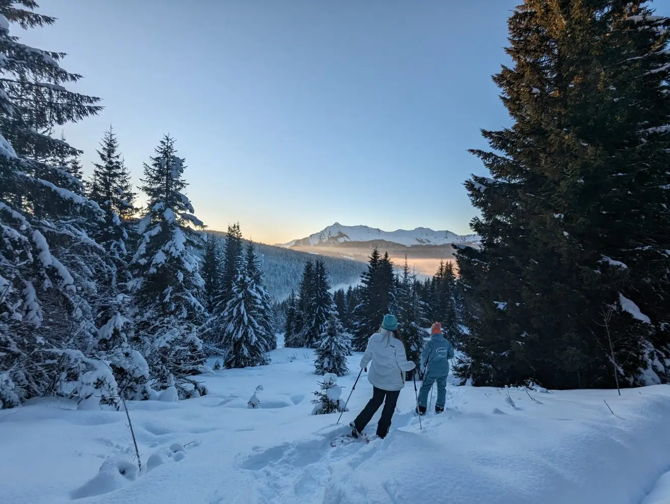 Een groep mensen tijdens één van de snowshoe hikes in Châtel en Les Gets.