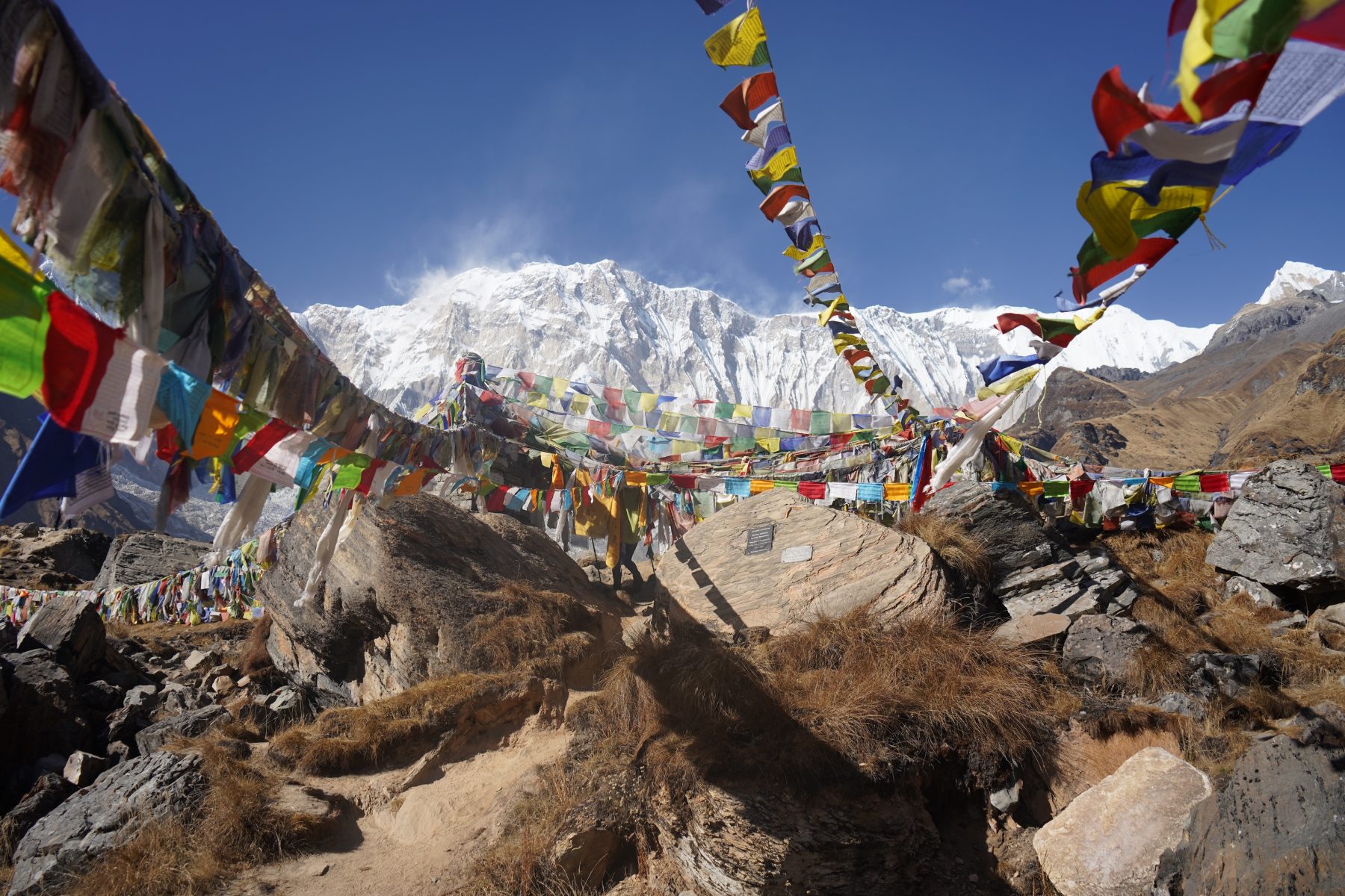 Lowa Camino Evo GTX Nepalese vlaggetjes