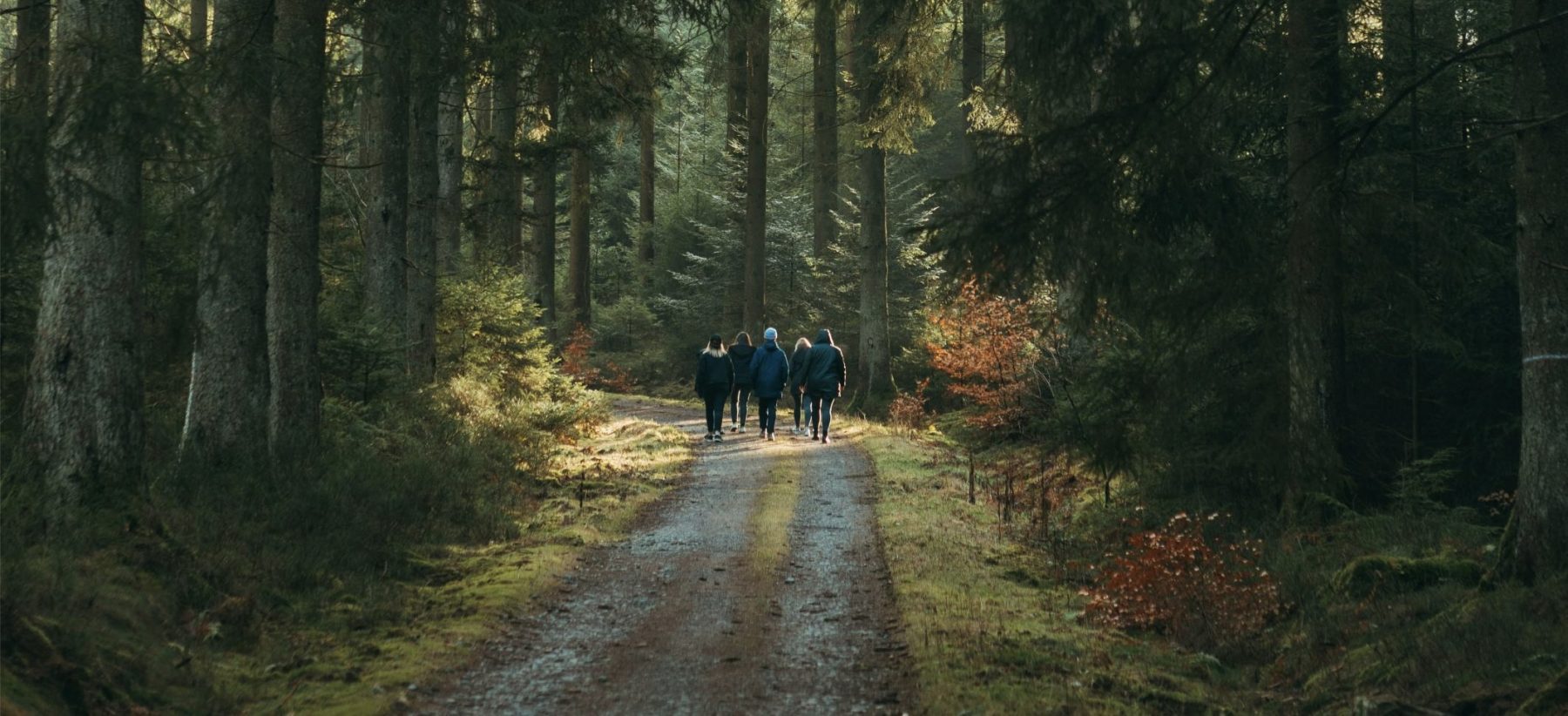 Een groep mensen wandelt door een bebost gebied in België, wat één van de landen is waar een aantal van de Wandelroutes van het Jaar 2025 zich bevinden.