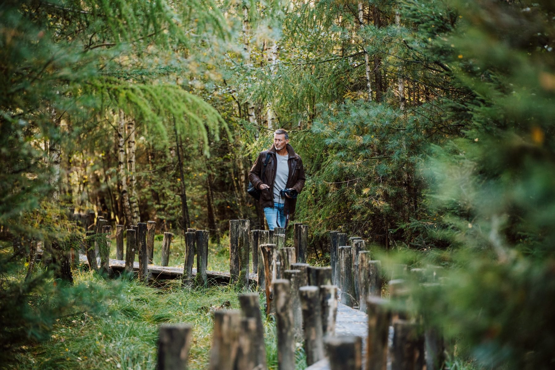 Plankenpad Spier door het bos