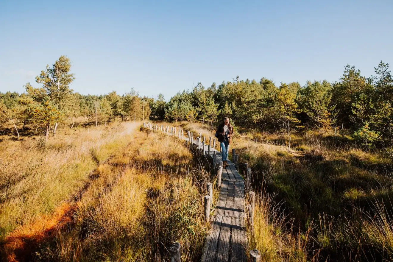 Plankenpad Spier in Drenthe