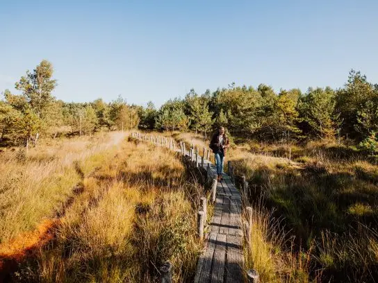 Plankenpad Spier in Drenthe